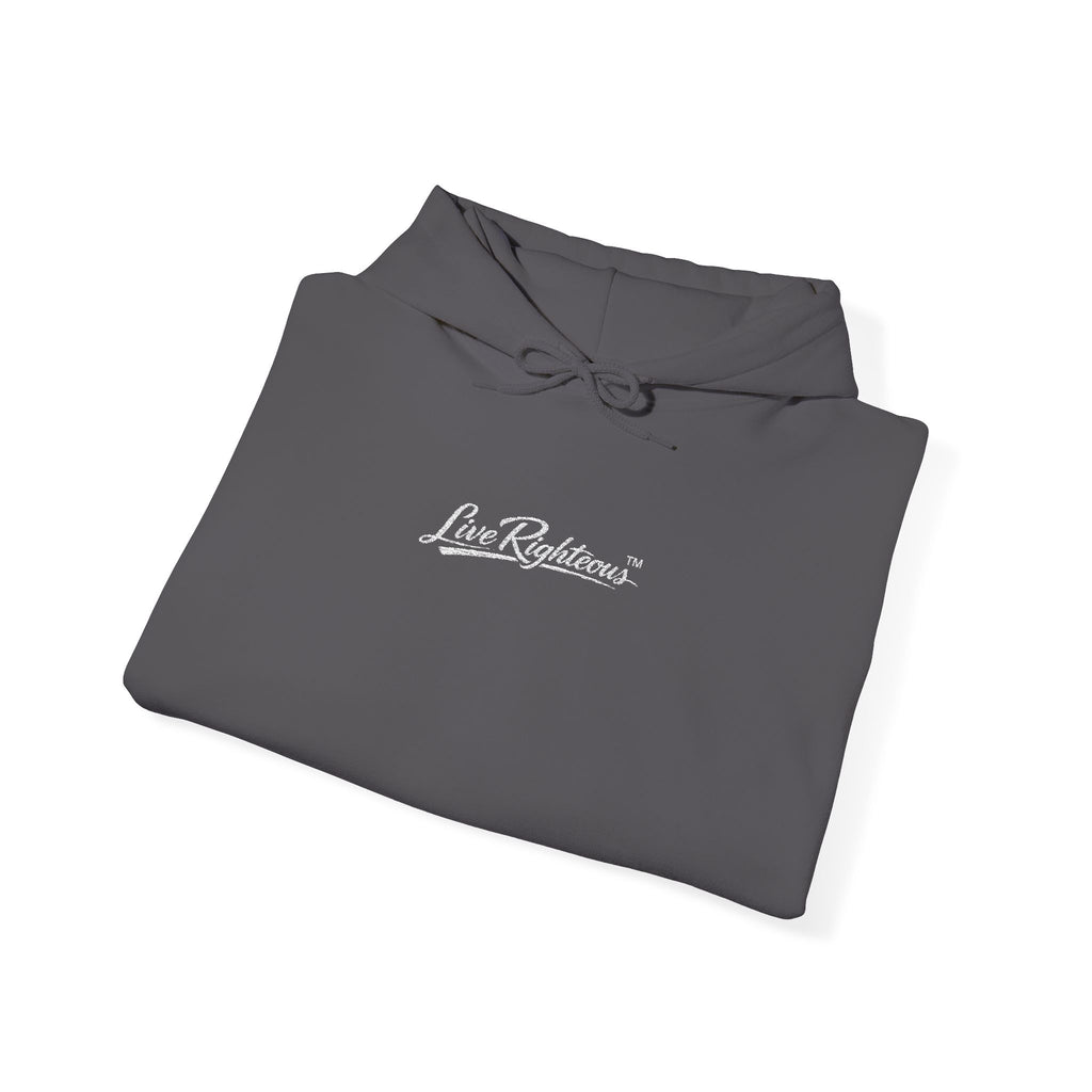 LR Hoodie