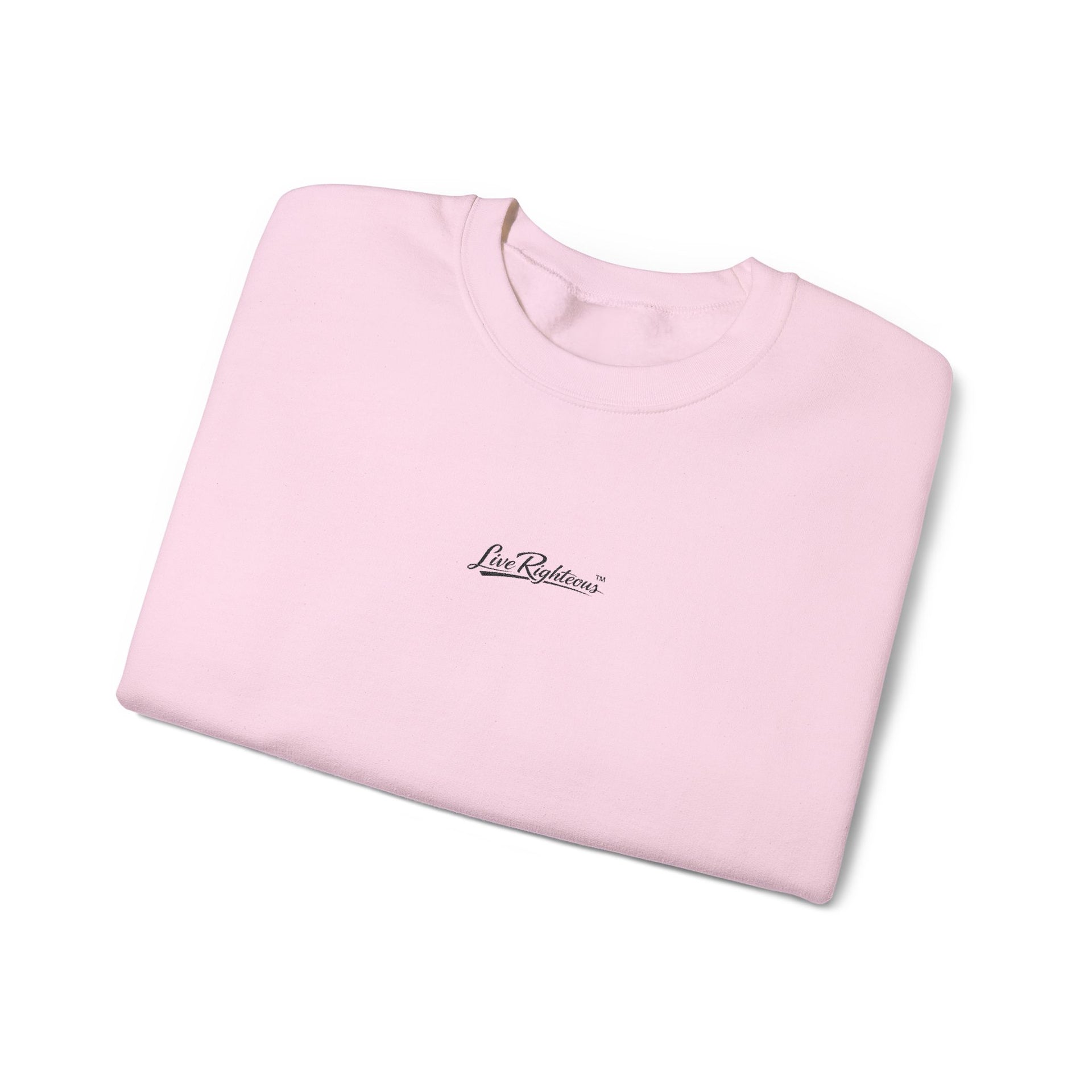 Minimal Script Crewneck Sweatshirt