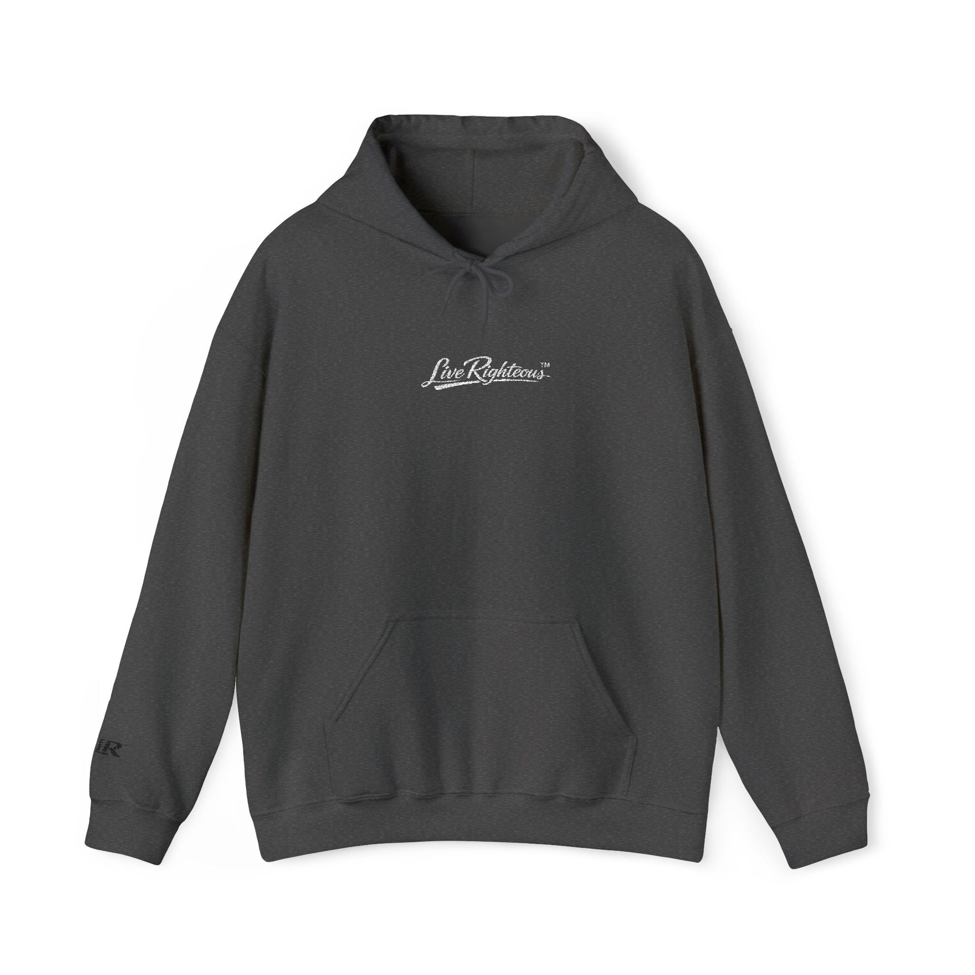 LR Hoodie
