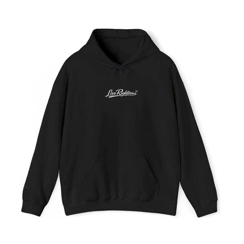 LR Hoodie