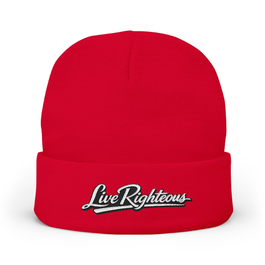 Knit Beanie (Embroidery)