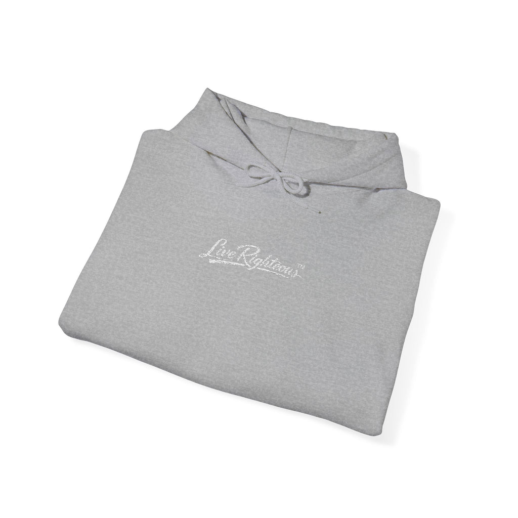 LR Hoodie