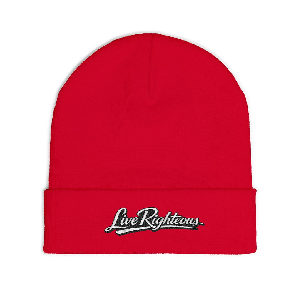 Knit Beanie (Embroidery)