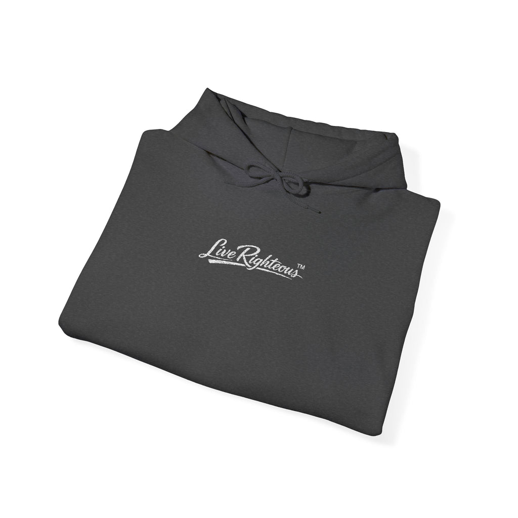 LR Hoodie