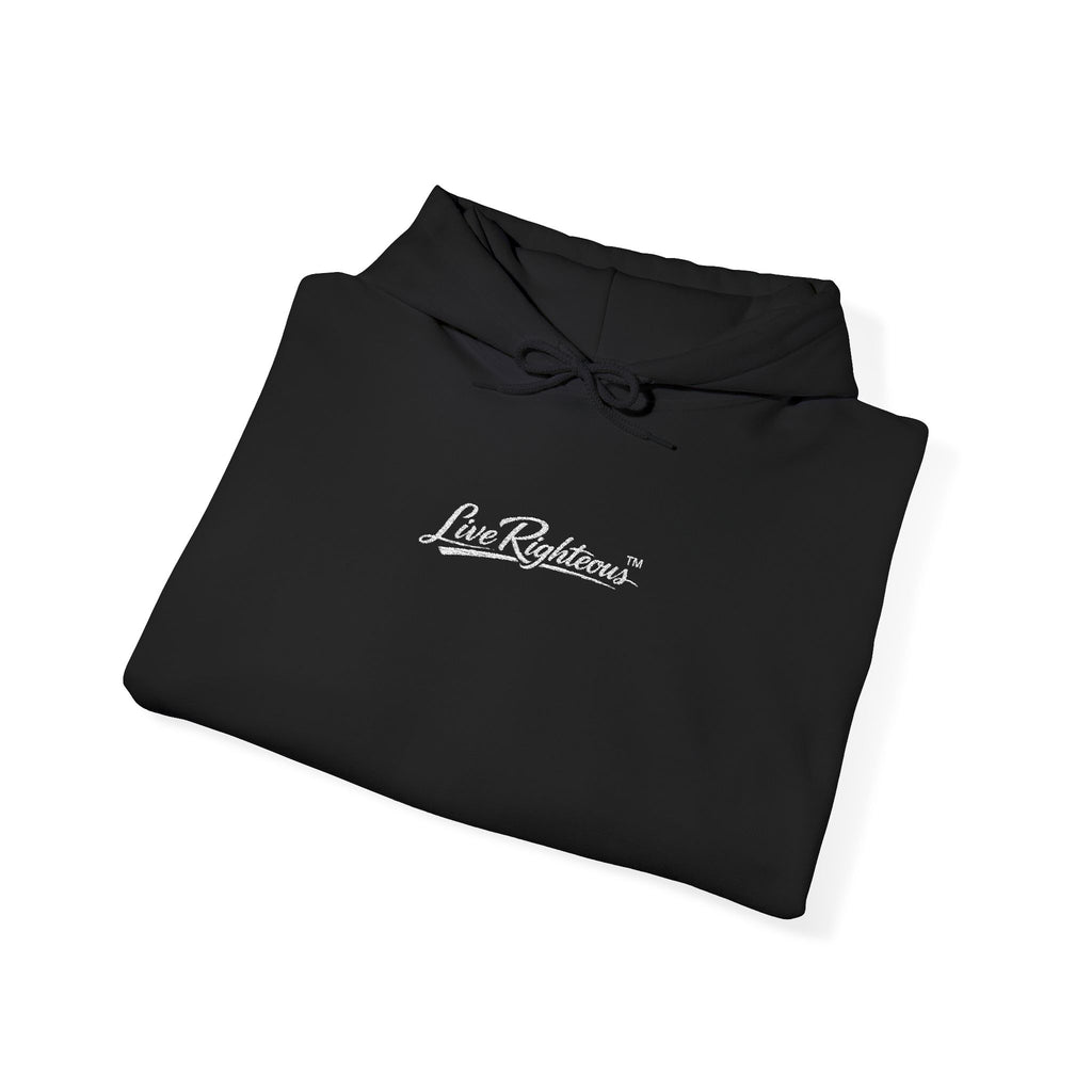 LR Hoodie