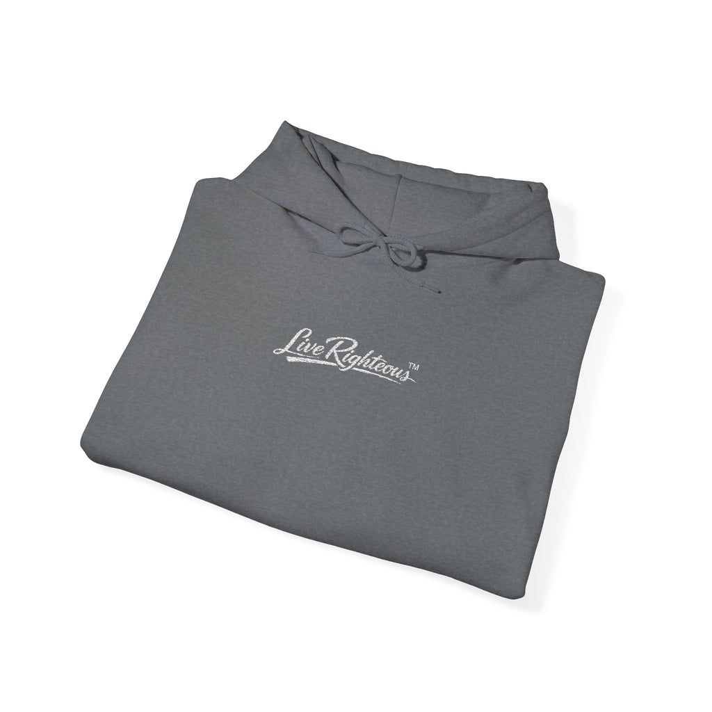 LR Hoodie