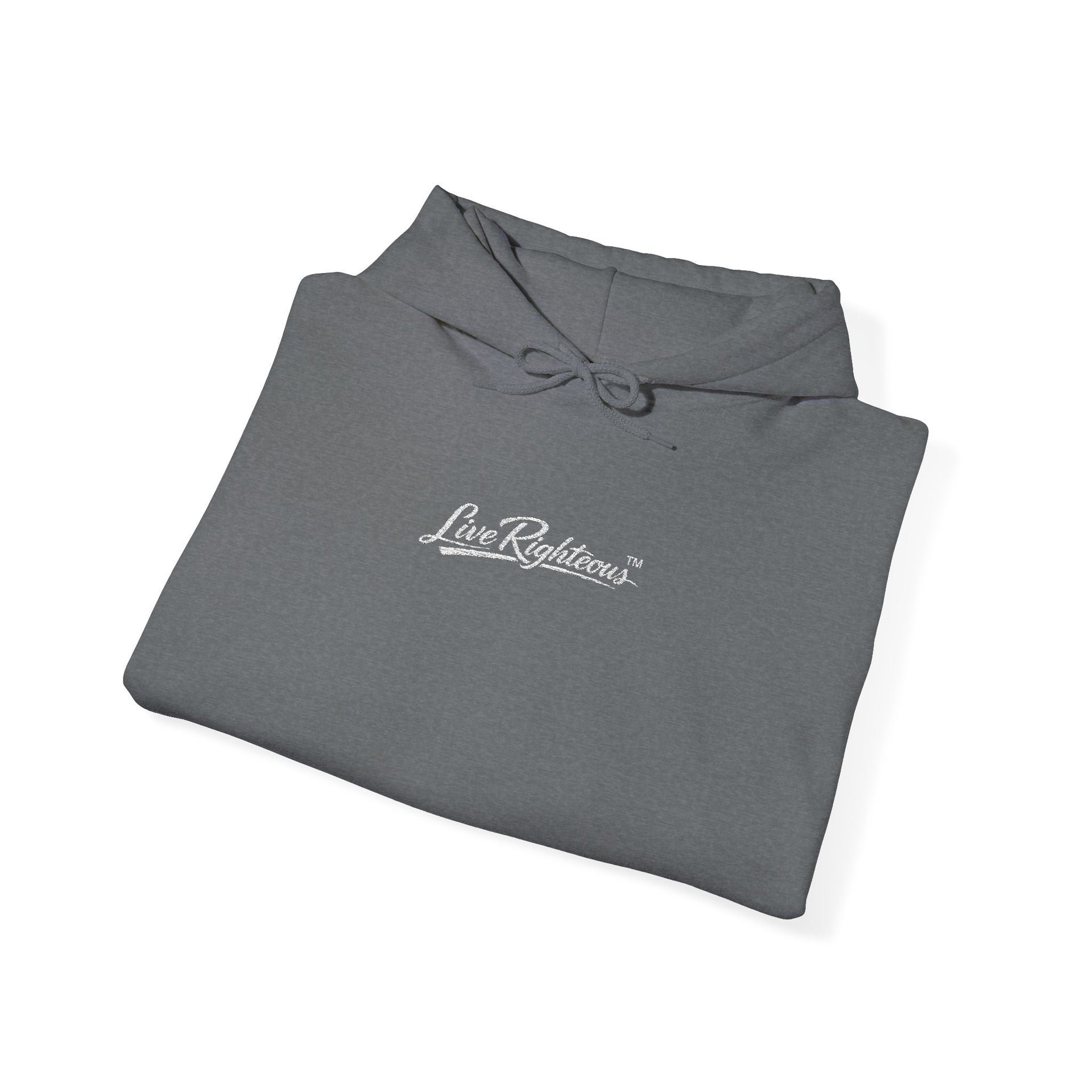 LR Hoodie